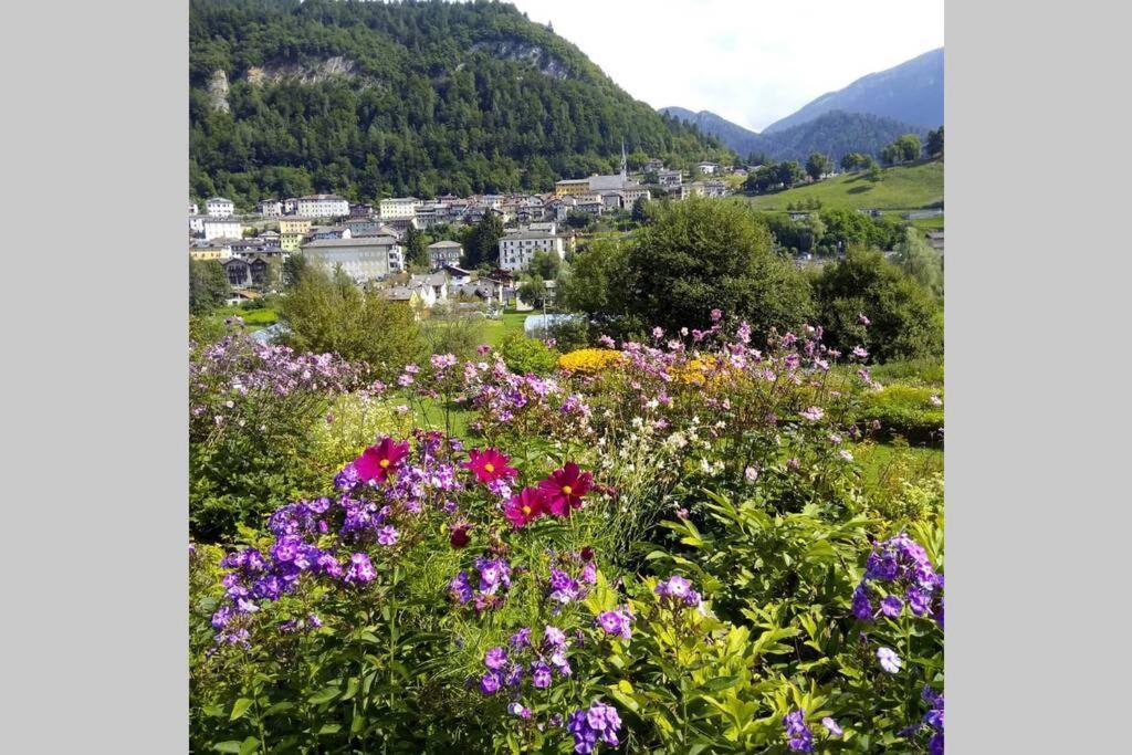Chalet Maso Fradea Family Resort Castello Tesino Eksteriør billede